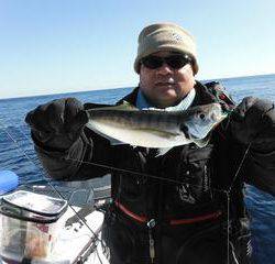 開進丸 釣果