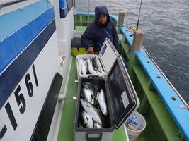 久里浜黒川本家 釣果