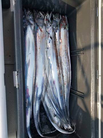 遊漁船 ニライカナイ 釣果