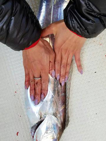 遊漁船 ニライカナイ 釣果