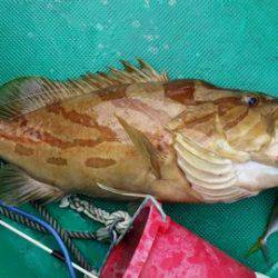 第3浜丸 釣果