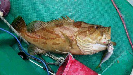 第３浜丸 釣果