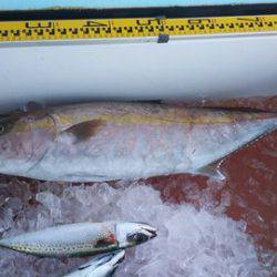 武勝丸(ぶしょうまる) 釣果