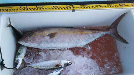 武勝丸(ぶしょうまる) 釣果