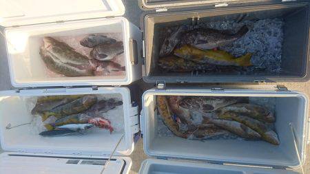 気仙沼 つり丸 釣果