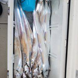 遊漁船 ニライカナイ 釣果