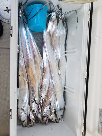 遊漁船 ニライカナイ 釣果