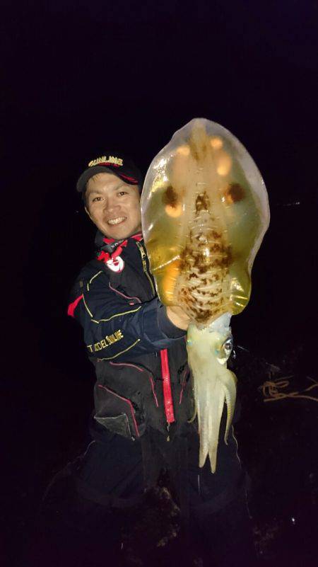 アオリイカ〜紀伊半島のシーズン開幕【角田裕介氏連載浮きアオリイカ釣り 第２弾】