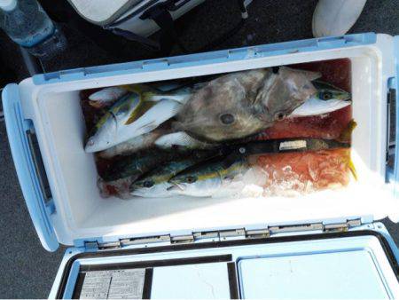 第二大福丸 釣果