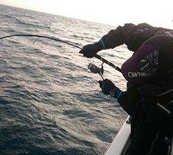 IDATEN(イダテン) 釣果