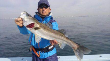東京湾探釣隊ぼっち 釣果