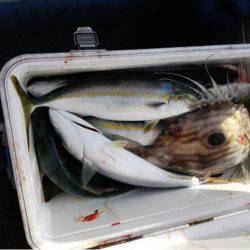 第二大福丸 釣果