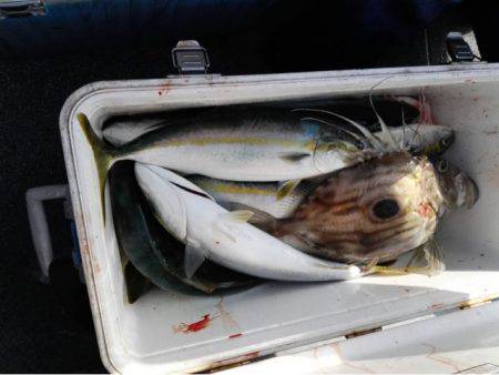 第二大福丸 釣果