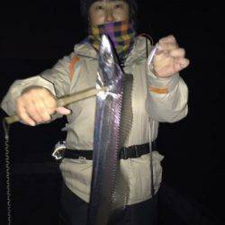 シーマジカル 釣果