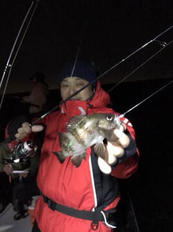 シーマジカル 釣果