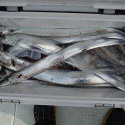 遊漁船 遊友 釣果