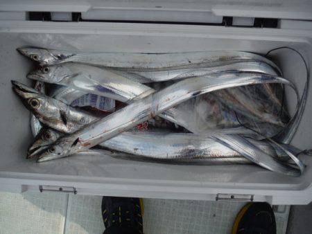 遊漁船 遊友 釣果