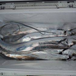 遊漁船 遊友 釣果