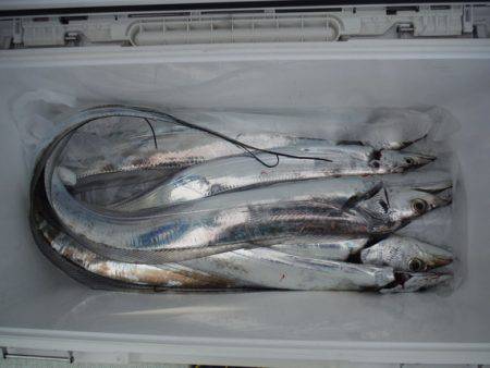 遊漁船 遊友 釣果