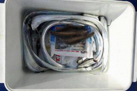 遊漁船 遊友 釣果