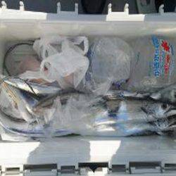 遊漁船 遊友 釣果