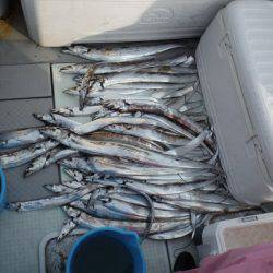 遊漁船 遊友 釣果