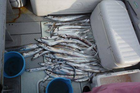 遊漁船 遊友 釣果