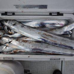 遊漁船 遊友 釣果