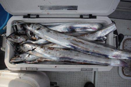 遊漁船 遊友 釣果