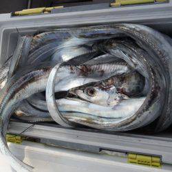 遊漁船 遊友 釣果