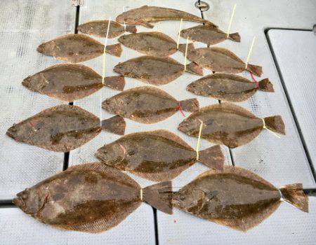 さんさん丸 釣果