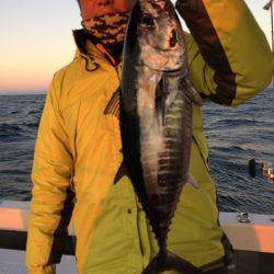 Blue.win 海人丸 釣果