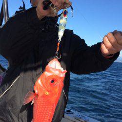 Blue.win 海人丸 釣果