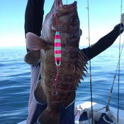 Blue.win 海人丸 釣果