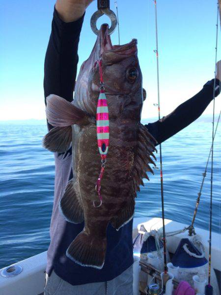 Blue.win 海人丸 釣果