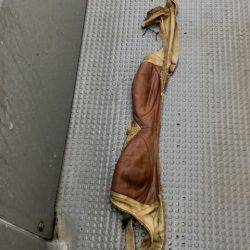 さんさん丸 釣果