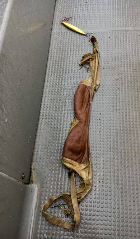 さんさん丸 釣果