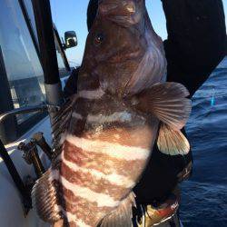 Blue.win 海人丸 釣果