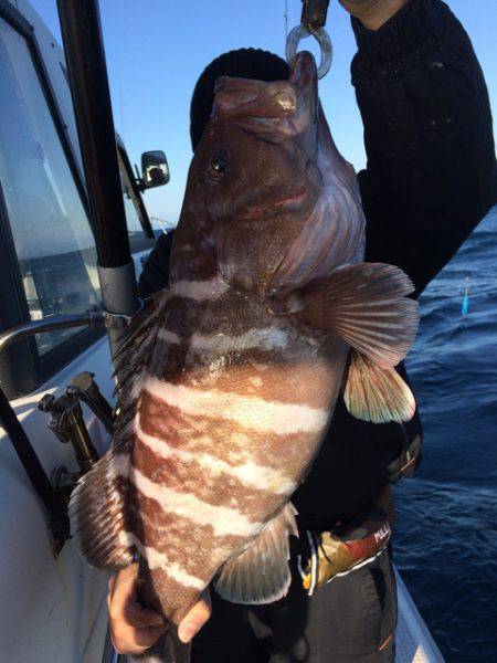 Blue.win 海人丸 釣果