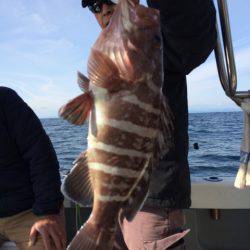 Blue.win 海人丸 釣果