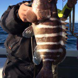 Blue.win 海人丸 釣果