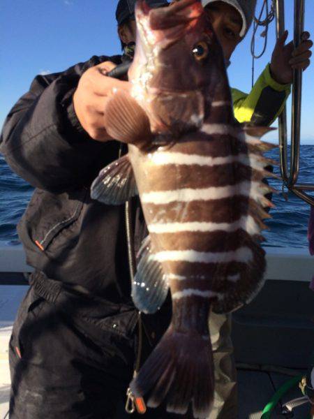 Blue.win 海人丸 釣果