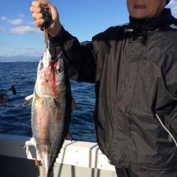 Blue.win 海人丸 釣果