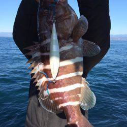 Blue.win 海人丸 釣果