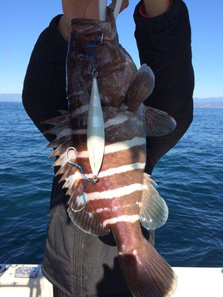 Blue.win 海人丸 釣果