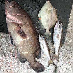 たいし丸 釣果