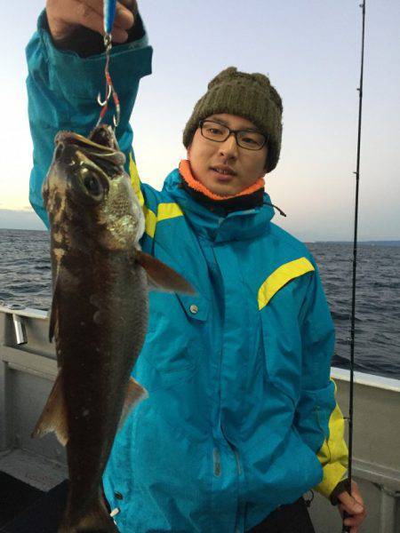 たいし丸 釣果