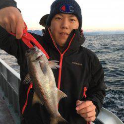 たいし丸 釣果