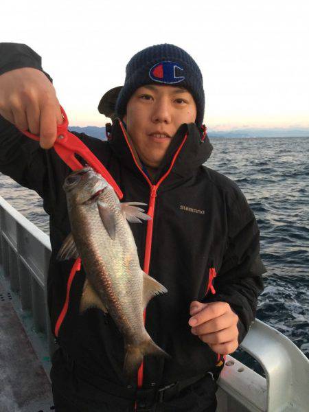 たいし丸 釣果