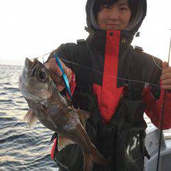 たいし丸 釣果